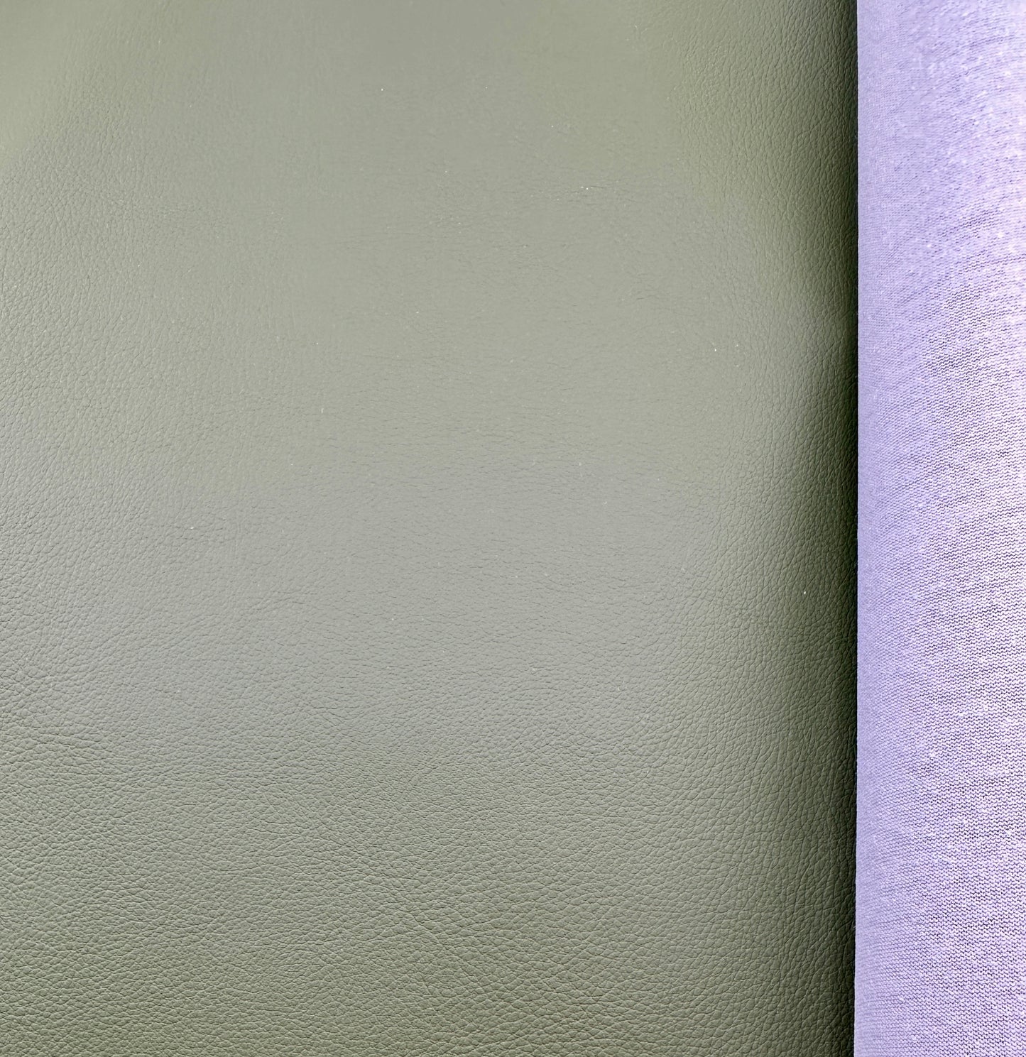 Cactus Leather