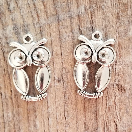 Owl Charm (5)