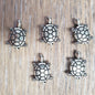 Turtle Slider (5)