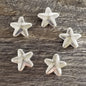 Star Slider (5)
